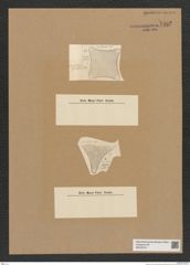 Diatomeae indet. Zeichnungen Sammlung Grunow Nr. 7582 (NHMW-BOT-W0376741)